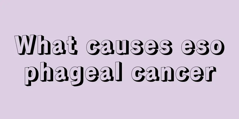 What causes esophageal cancer