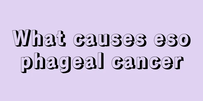 What causes esophageal cancer